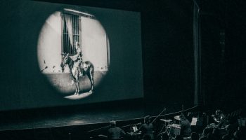 El Húsar de la Muerte en Teatro Oriente, Patogallina